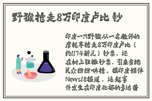 找个附近的人玩一玩免费